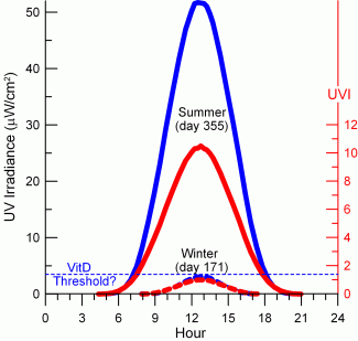Graph of relationship between UVEry and UVVitD on a summer and winter day at 45ºS.