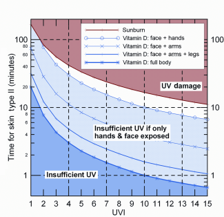 Graph of exposure time for erythema and optimal vitamin D production as a function of UV Index for skin type II.